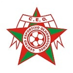 СЭО - logo