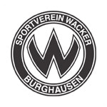 Ваккер Бургхаузен - logo
