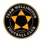 Тим Веллингтон - logo