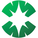 Novagg Green - logo