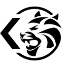 Team TK - logo