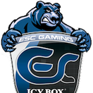 ESC Gaming - logo