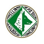 Авеллино - logo