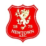 Ньютаун - logo
