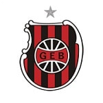 Гремио Бразил - logo