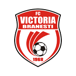 Виктория Бранешти - logo