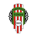 Виктория Жижков - logo