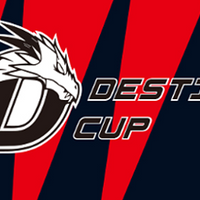 Destiny Cup Season 2 - logo