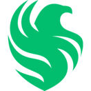Falcons - logo