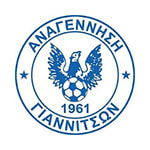 Анагенниси Янница - logo