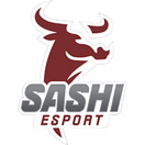 Sashi Academy - logo