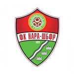 Нара-ШБФР - logo