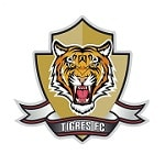 Тигрес де Соача - logo