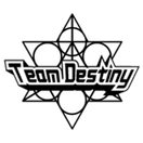 Team Destiny - logo