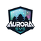 Fastcup Aurora 2024 - logo