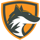 Team DeftFox - logo