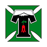 Темуко - logo