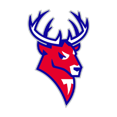 Торпедо - logo