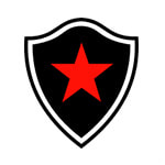 Ботафого-ПБ - logo