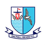 Солтхилл Девон - logo