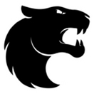 Furia Female - logo