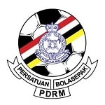 ПДРМ - logo