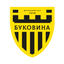 Логотип домашней команды