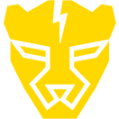 Fearless Cheetahs - logo
