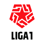 Primera Division - logo