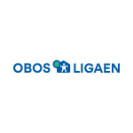Первый дивизион - logo