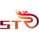 Team ST - logo