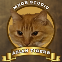 Moon Studio Asian Tigers - logo
