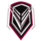 Team Virgo - logo