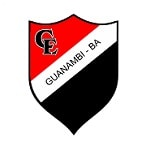 Фламенго Гуанамби - logo